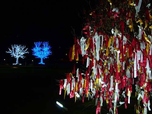 DSCF3178