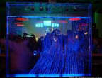 25.DSCF1513