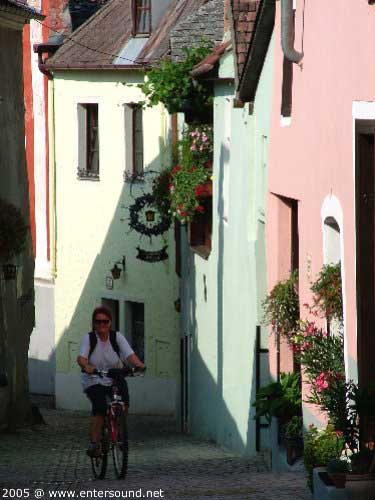 53DSCF4005