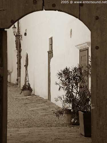 55.DSCF3868