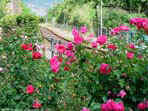 33.DSCF3819