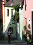 53DSCF4005
