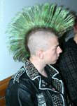 62DSCF0781
