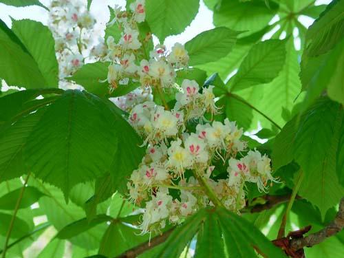 19.DSCF8707