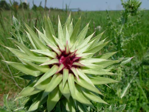 26.DSCF8691