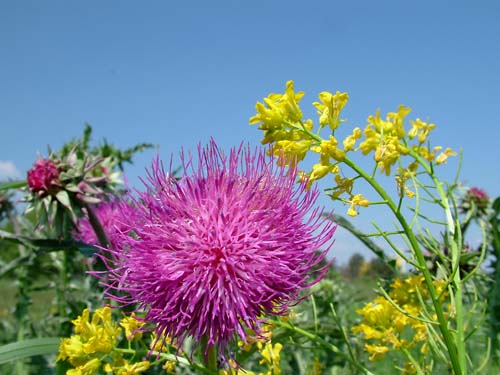 34.DSCF8684