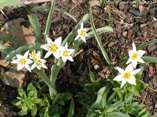 garten023