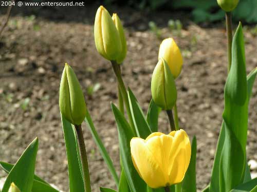 garten040