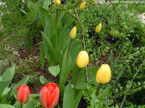 garten042