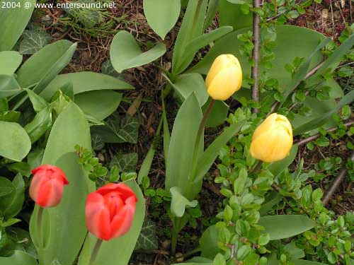 garten043