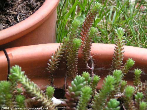 garten051