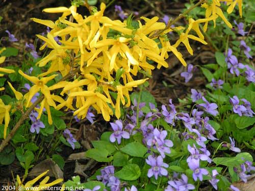 garten061