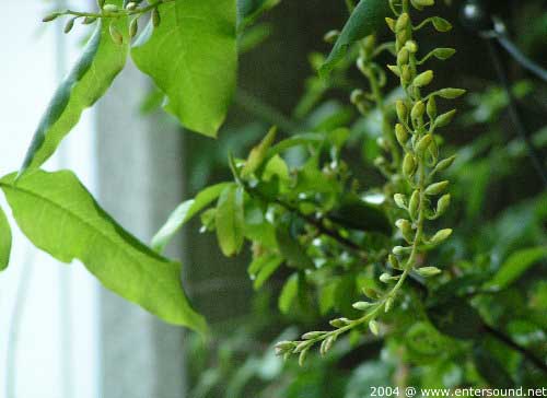 garten071