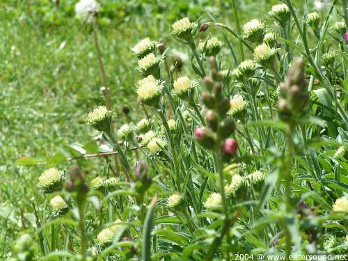 garten073