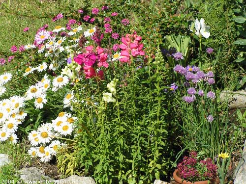 garten078