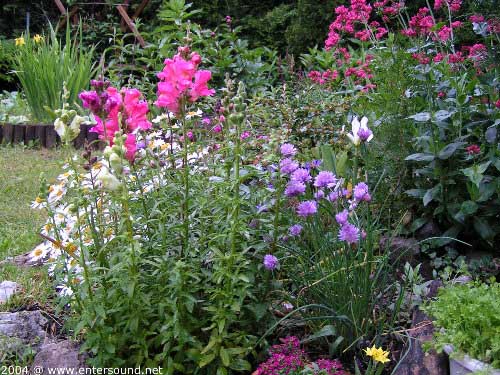 garten079
