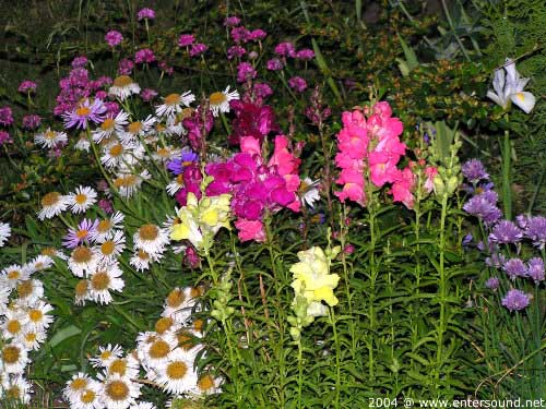 garten080