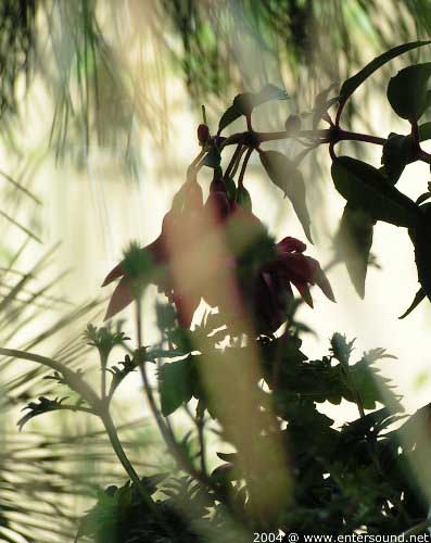 garten082