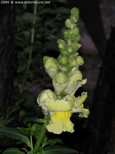 garten084