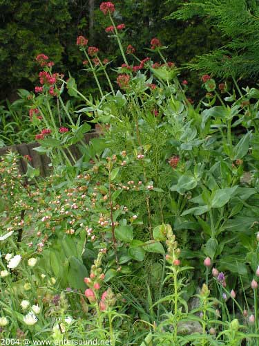 garten088