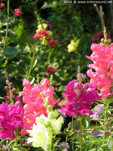 garten090