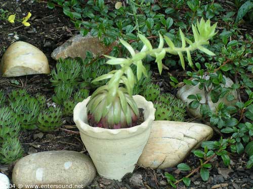 garten103