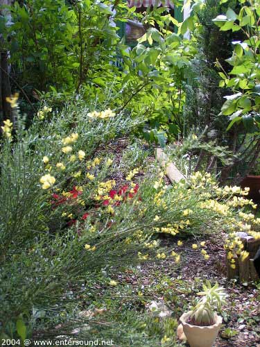garten110