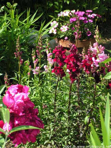 garten117