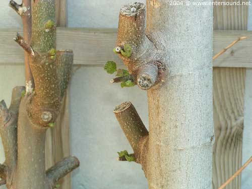 garten124
