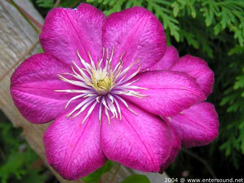 garten202