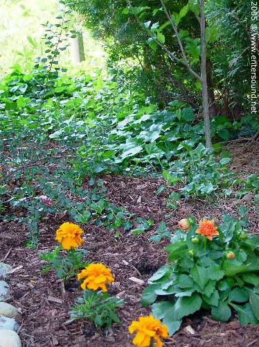 garten204