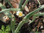 garten020