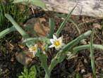 garten021