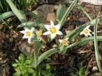 garten022