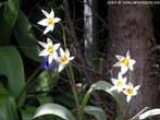 garten026