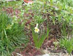 garten029