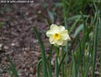 garten030