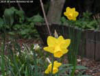 garten031