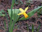 garten032
