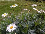 garten048
