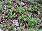 garten050