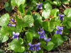 garten056