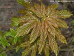 garten058