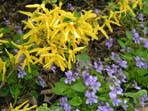 garten061