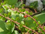 garten064