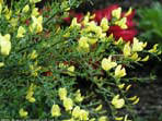 garten069