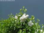 garten070