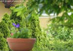 garten072