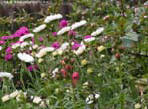 garten076