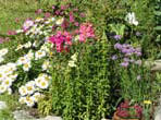 garten078